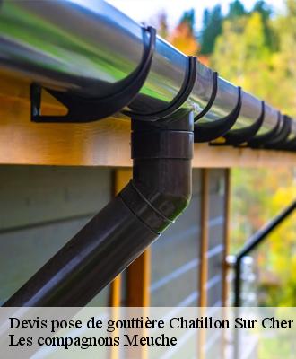 Devis pose de gouttière  41130