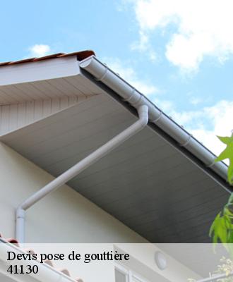 Devis pose de gouttière  41130