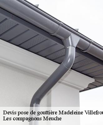 Devis pose de gouttière  41370