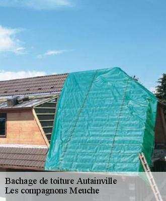 Bachage de toiture  41240