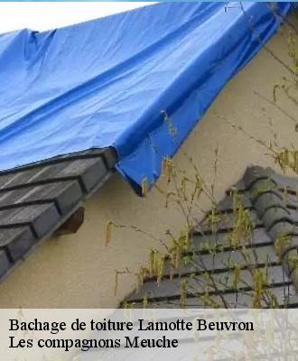 Bachage de toiture  41600