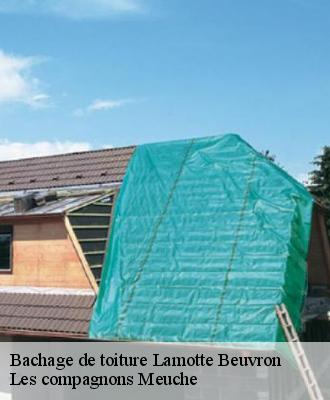 Bachage de toiture  41600