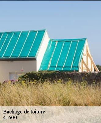 Bachage de toiture  41600