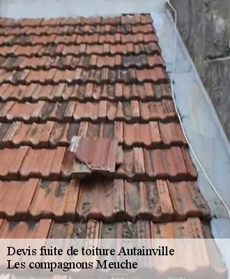 Devis fuite de toiture  41240