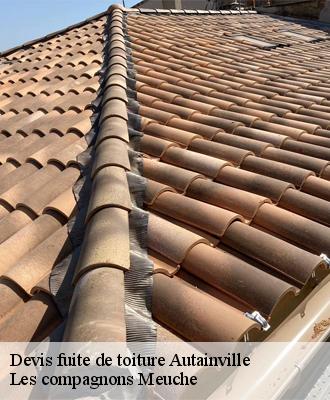 Devis fuite de toiture  41240