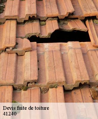 Devis fuite de toiture  41240