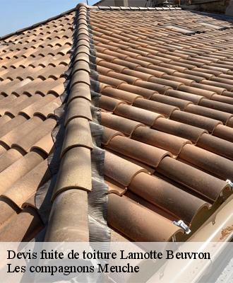 Devis fuite de toiture  41600