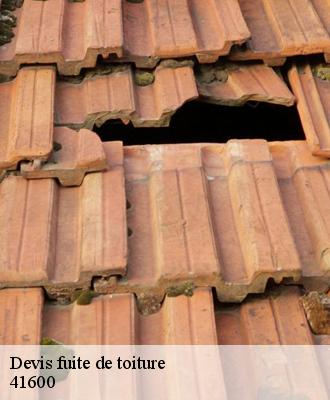 Devis fuite de toiture  41600