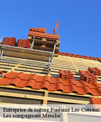 Entreprise de toiture  41800