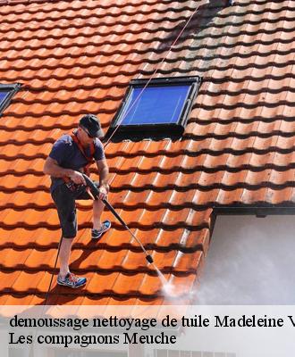 demoussage nettoyage de tuile  41370