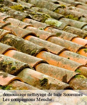 demoussage nettoyage de tuile  41300