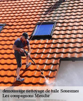 demoussage nettoyage de tuile  41300