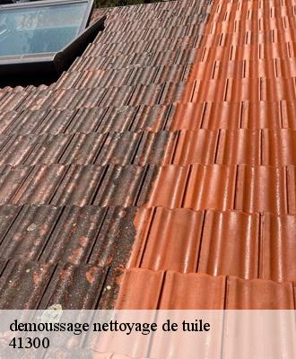 demoussage nettoyage de tuile  41300