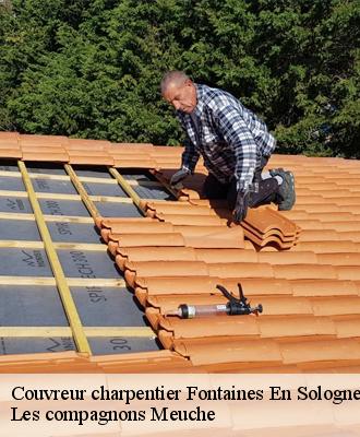 Couvreur charpentier  41250