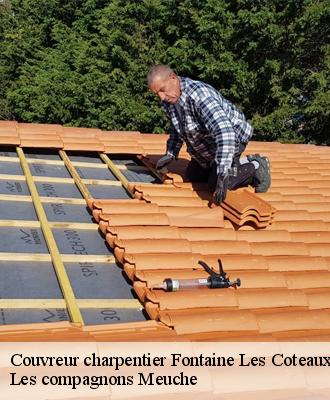 Couvreur charpentier  41800