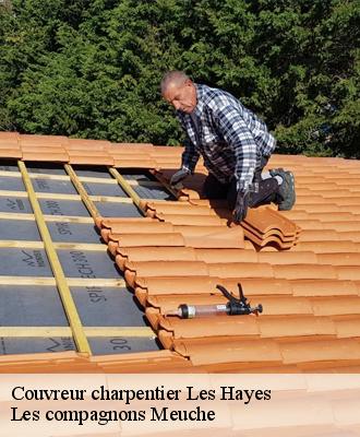 Couvreur charpentier  41800
