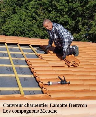 Couvreur charpentier  41600