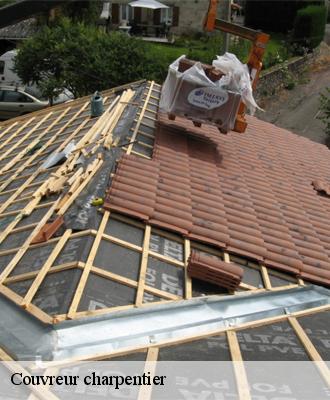 Couvreur charpentier  41500