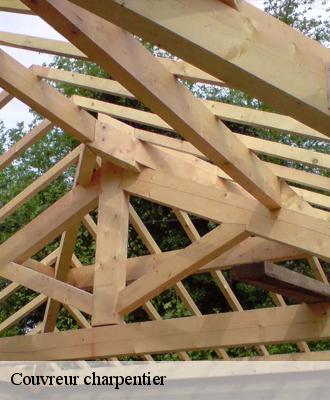 Couvreur charpentier  41500