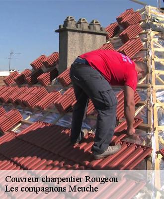 Couvreur charpentier  41230