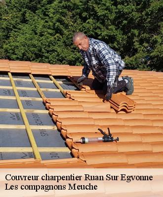 Couvreur charpentier  41270