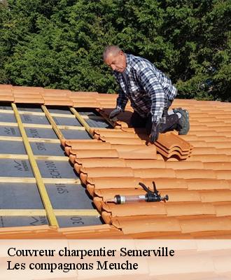 Couvreur charpentier  41160
