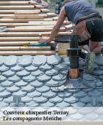 Couvreur charpentier  41800