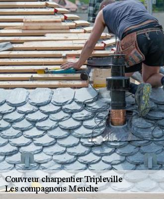 Couvreur charpentier  41240