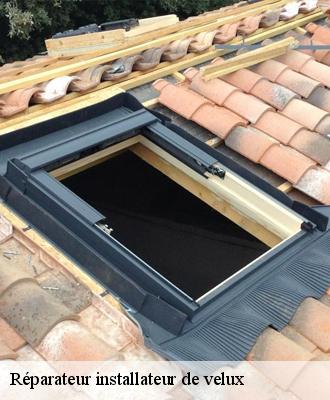 Réparateur installateur de velux  41240