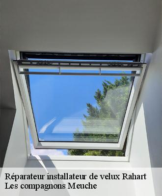 Réparateur installateur de velux  41160