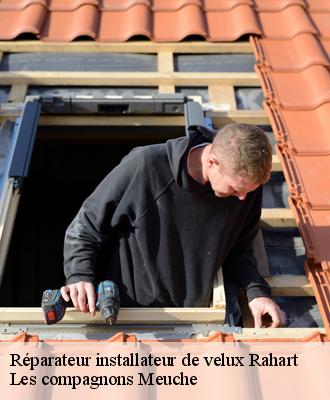 Réparateur installateur de velux  41160