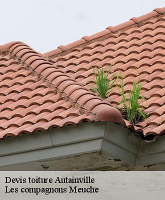 Devis toiture  41240