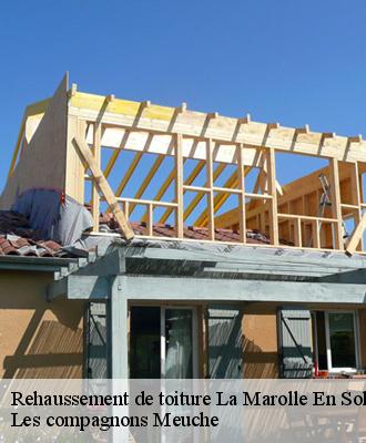 Rehaussement de toiture  41210