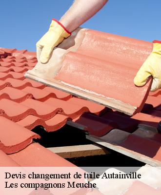 Devis changement de tuile  41240