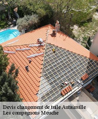 Devis changement de tuile  41240