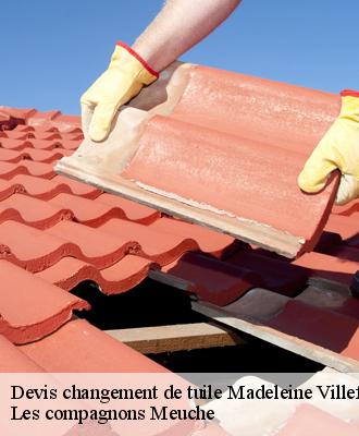 Devis changement de tuile  41370