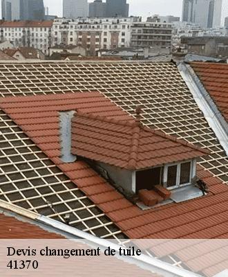 Devis changement de tuile  41370