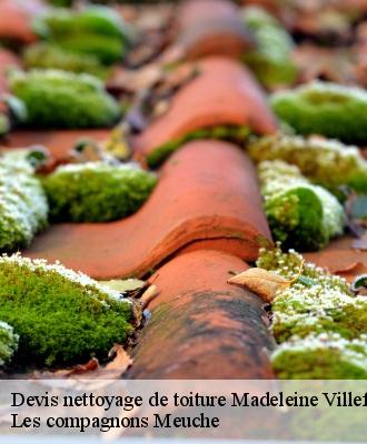 Devis nettoyage de toiture  41370