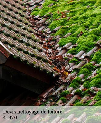 Devis nettoyage de toiture  41370